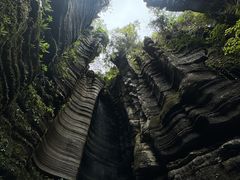 -梭布垭石林景区