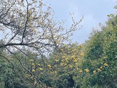 -无锡梅园公园