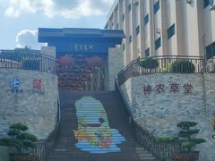 -广州神农草堂中医药博物馆
