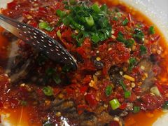 -三强鸽子(中原路店)