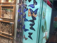 -墨尔本博物馆(Melbourne Museum)