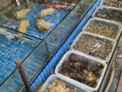 -芦潮港集贸市场