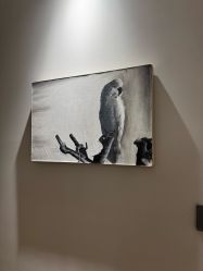 -一个差评成就的纹眉店
