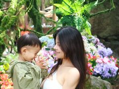 -洛阳白云山景区