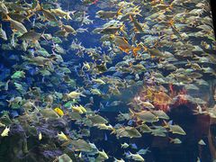 -成都浩海立方海洋公园