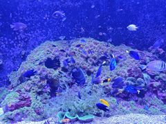 -成都浩海立方海洋公园