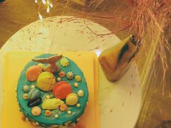 美人鱼芝士-随心小姐