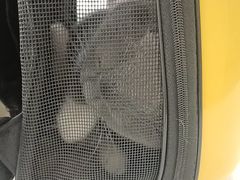 -瑞鹏宠物医院·骨外科·心肾科·肿瘤科(九亭店)