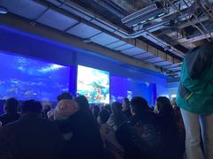 -重庆欢乐海底世界