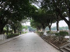 -黄埔古港
