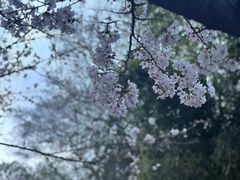 -鸡鸣寺
