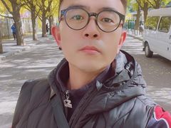 -三里屯东五街银杏大道