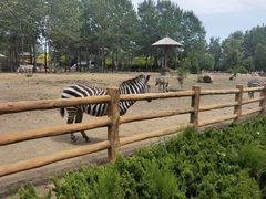 -大连森林动物园