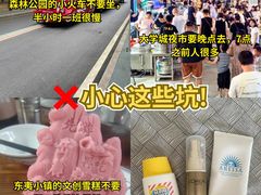 -日照海滨国家森林公园