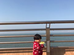 -演武大桥观景平台