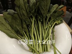 -南门涮肉(上海二店)