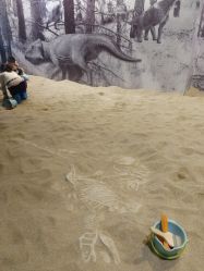 点击看大图 -恐龙探索乐园(磁器口店)