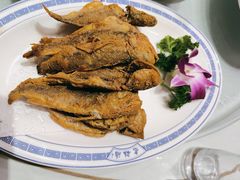 -老雒阳面馆·水席(洛宁高速路口店)