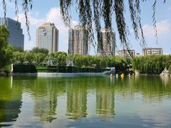 -团结湖公园