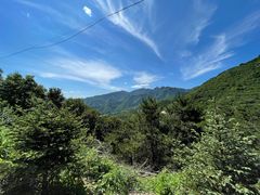 -百里山水画廊