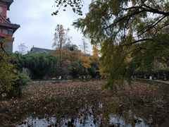 -四川大学(华西校区)