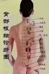 -名发世家烫染