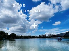 -上海长兴岛郊野公园