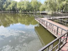 -青城公园