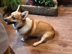 -阿木舂记·特色小吃(平江路店)