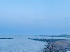 -海合安青岛极地海洋公园