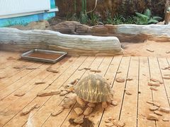 -宁波野生动物园