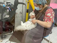 -宠福鑫康馨动物医院·骨科·眼科