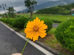 -江南天池