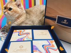 -亮马河大厦办公楼-1座