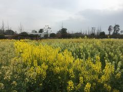 -洪湖家庭农场·团建·露营·会议