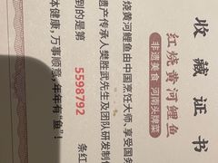 -阿五黄河大鲤鱼(英协路店)