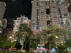 -星湖商业城
