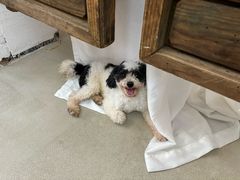 -妙香素食(梧桐山店)