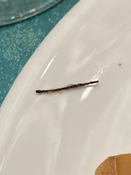 -苏州希尔顿酒店-宴会厅