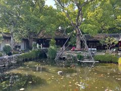 -上海醉白池公园