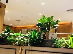 -半秋山西餐厅(沙坪坝店)
