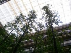 -嘉瑞酒店有限公司