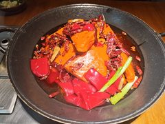 -阳阳老火锅(小南门店)