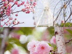 -观澜湖生态运动公社