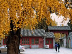 -北京石刻艺术博物馆(五塔寺)