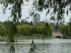 -济南大明湖景区