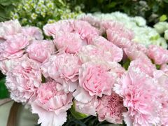 -亭亭鲜花店(中山北路店)