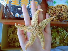 -天后宫民俗文化街