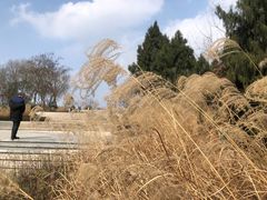 -仙海旅游度假区