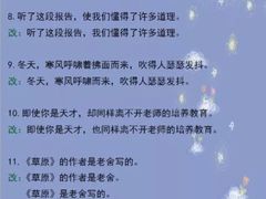 -瑞丁熊原版阅读(大华校区)